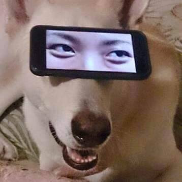 This meme features a photo of a dog with a smartphone screen displaying a video of a person's eyes. The text "I can see you" is written above the video, implying that the dog is aware of the person's presence and is watching them.
